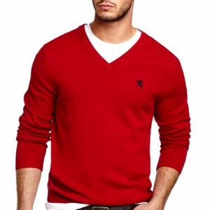 EXPRESS V-neck Pullover Sweater